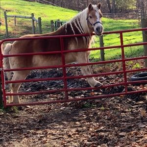 Meet your Posher, Ashton😎😝